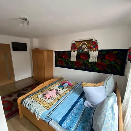 Guest house Pensiunea Casa Andrei *