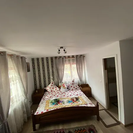 Pensiunea Casa Andrei Guest house *