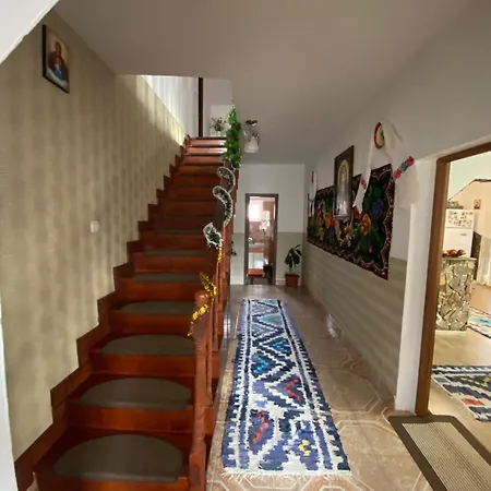 Pensiunea Casa Andrei Guest house Birsana