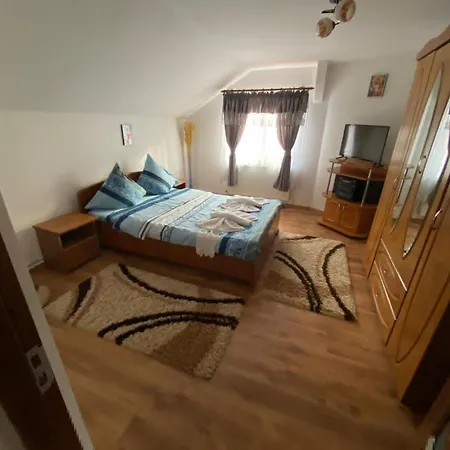 Pensiunea Casa Andrei Guest house