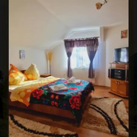 Pensiunea Casa Andrei